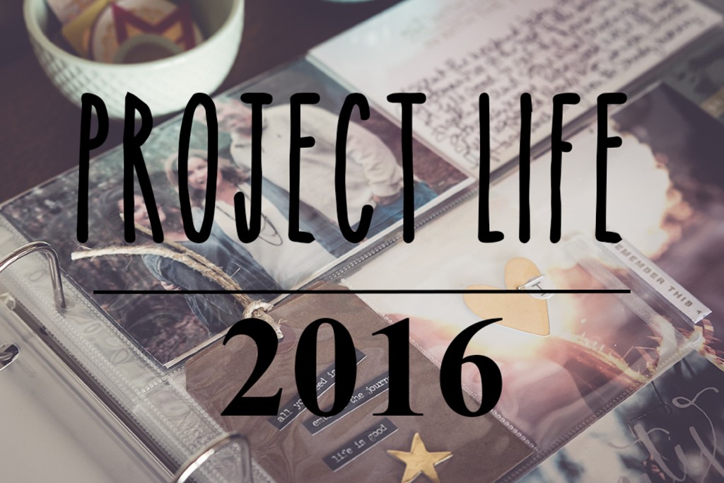 mindingmynest_project life 2016-30