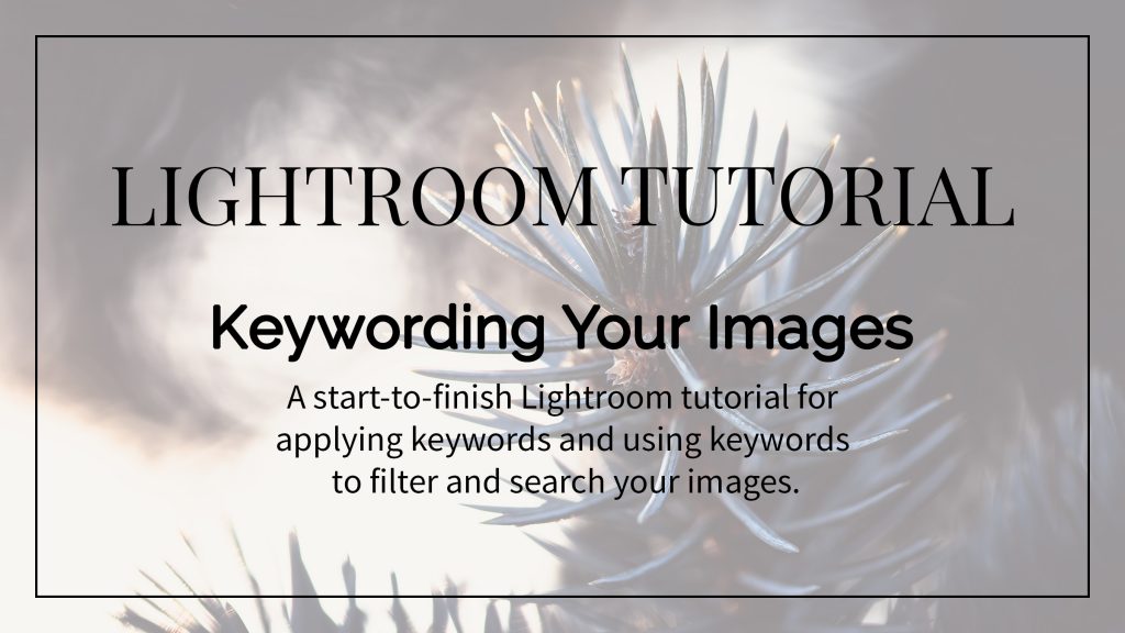 Using Keywords in Lightroom