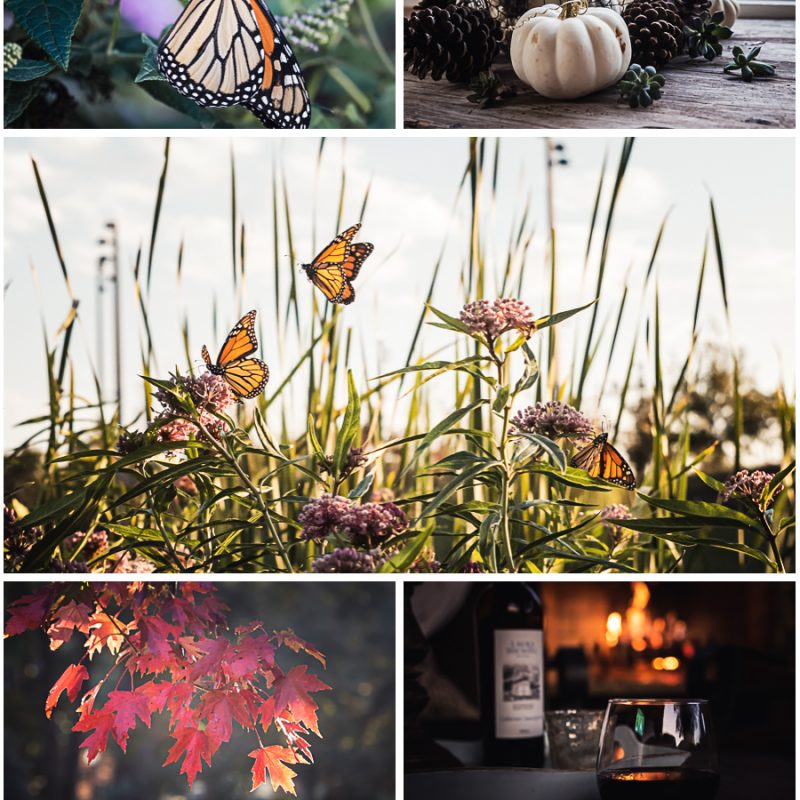 October Stories